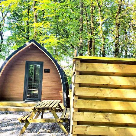 The Pod-Hot Tub-Woodland Lodges-St Clears-Carmarthen Exteriér fotografie