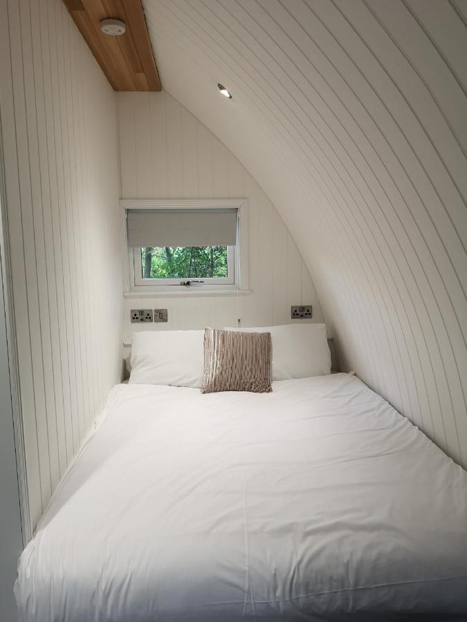 The Pod-Hot Tub-Woodland Lodges-St Clears-Carmarthen Exteriér fotografie