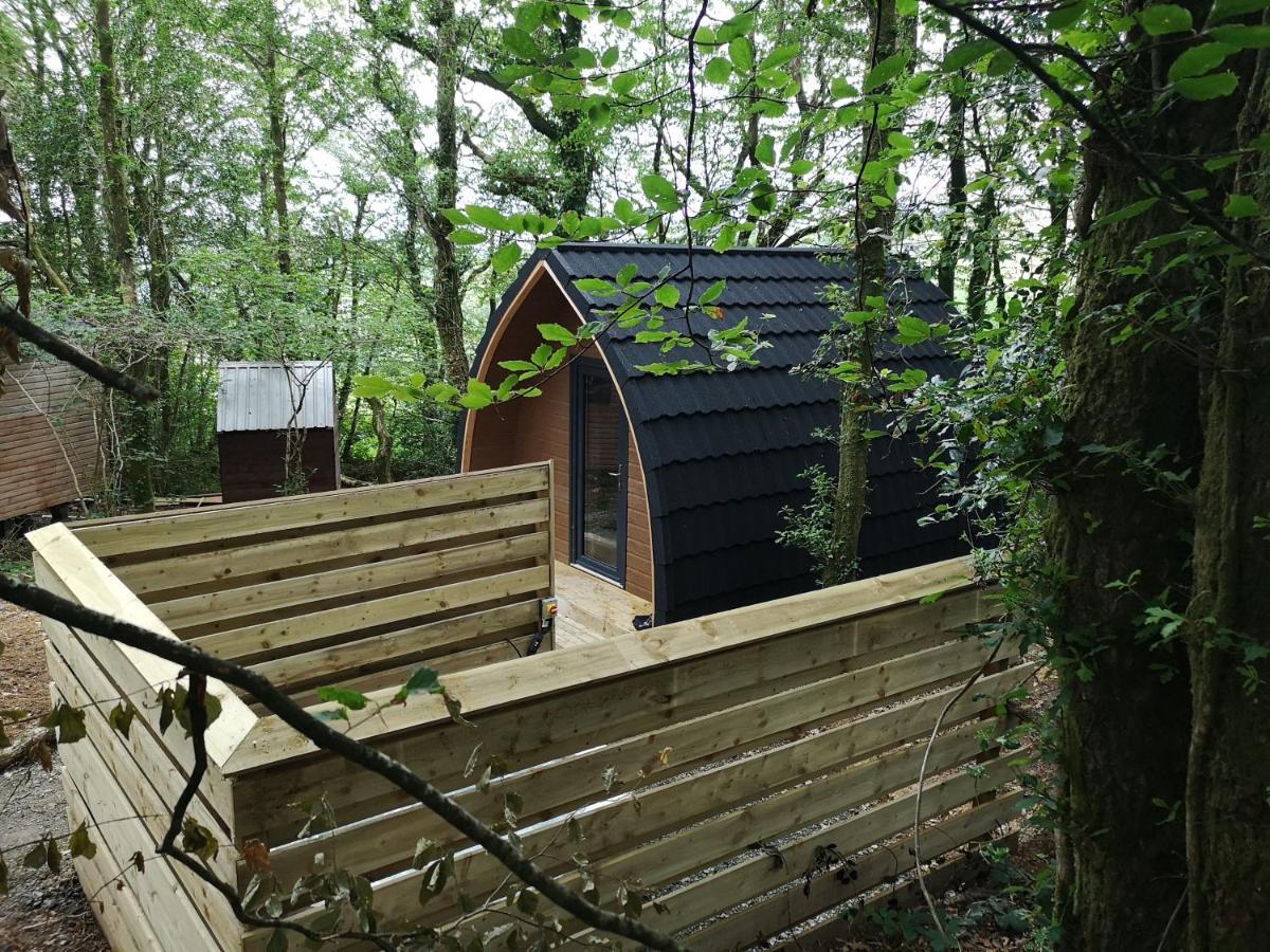 The Pod-Hot Tub-Woodland Lodges-St Clears-Carmarthen Exteriér fotografie