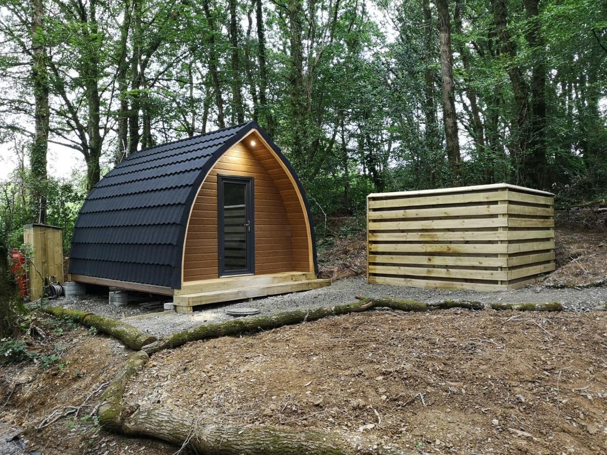 The Pod-Hot Tub-Woodland Lodges-St Clears-Carmarthen Exteriér fotografie